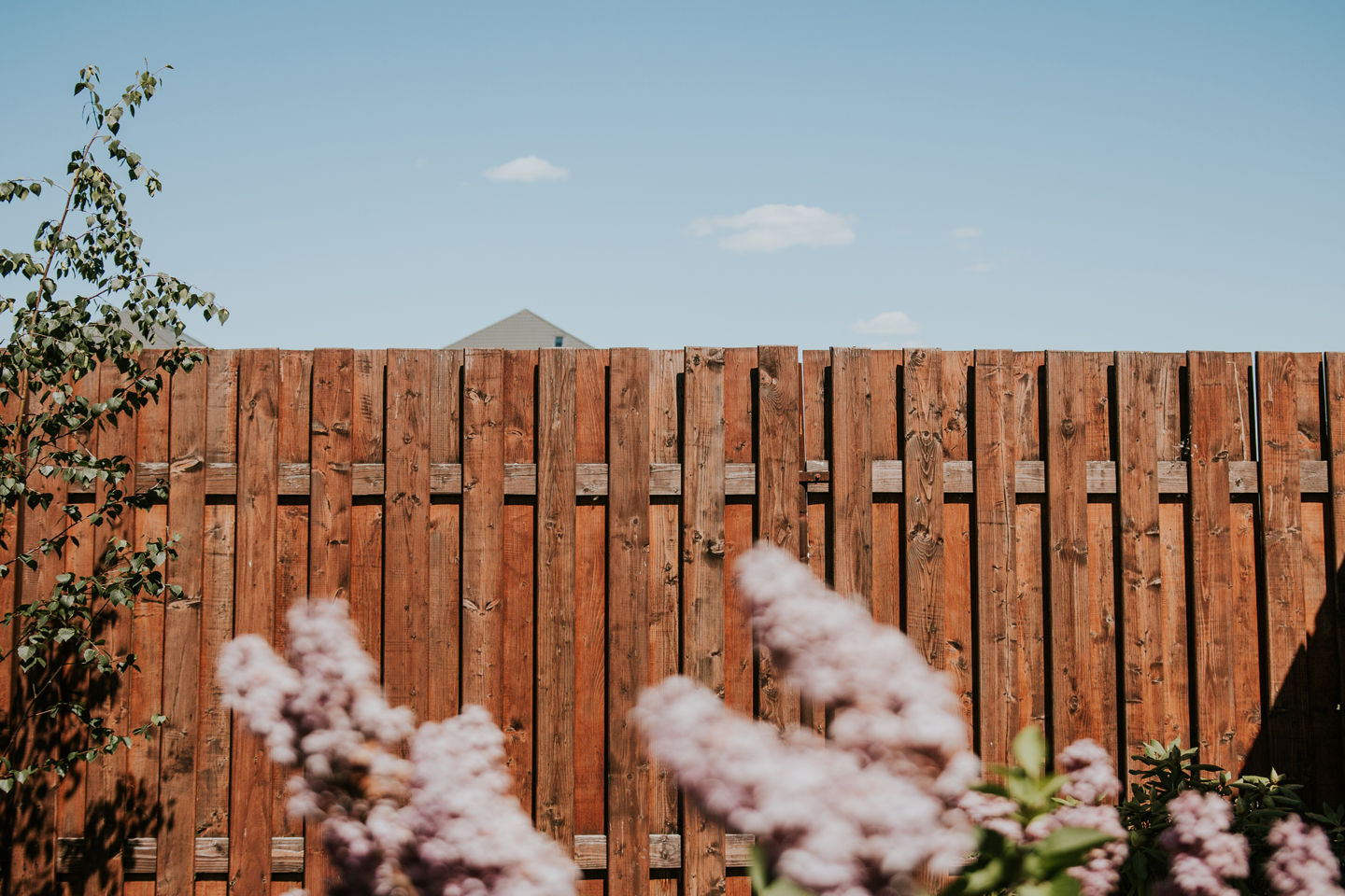 Fence Staining